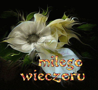 Białe kwiaty miłego wieczoru